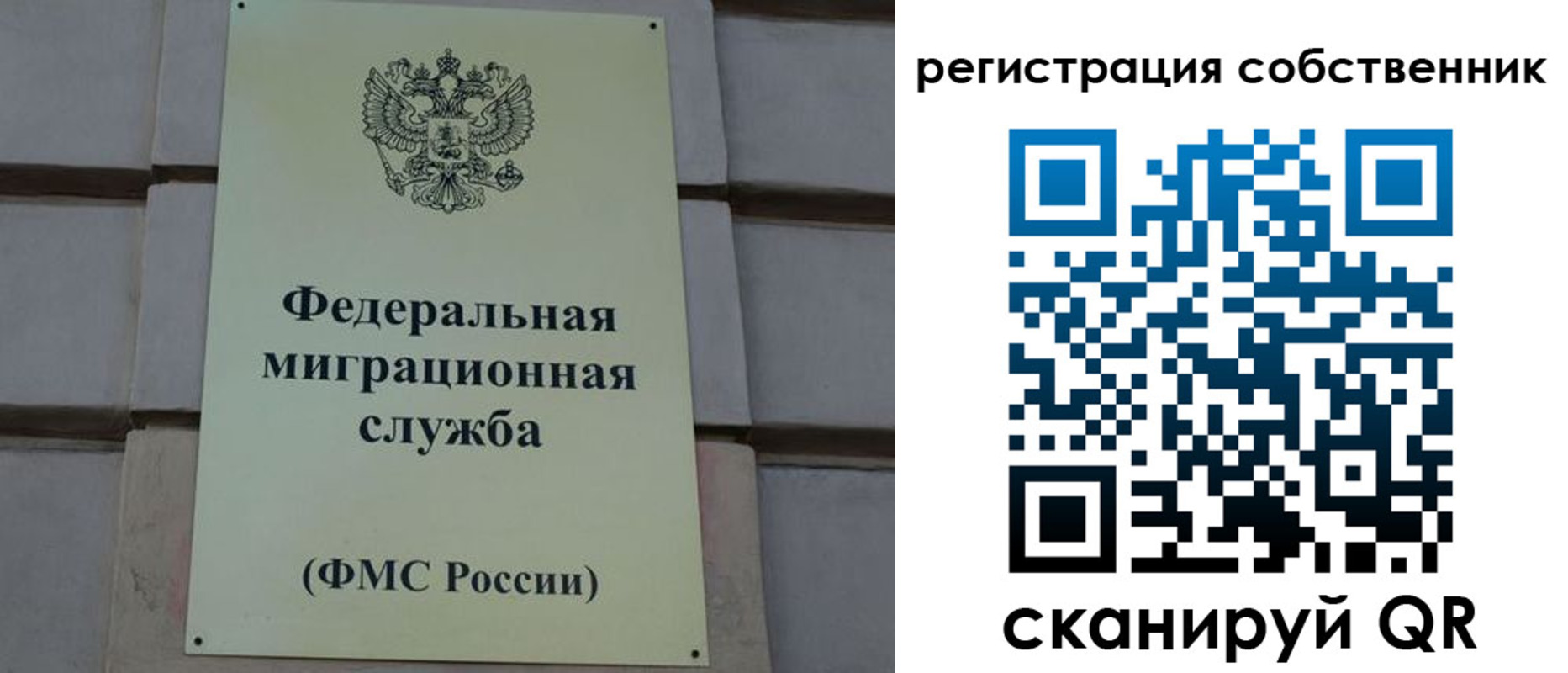 прописка гарантия в Новомосковске